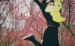 爆龙战队爆炎侠全集